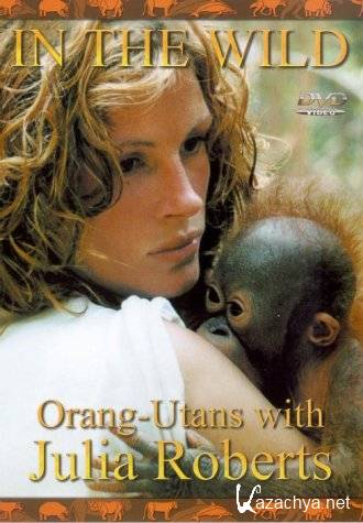    .     / In the Wild. Orang utans with Julia Roberts