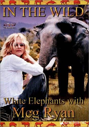    .      / In the Wild. White elephants with Meg Ryan
