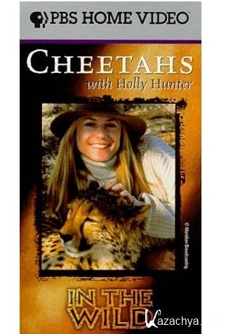    .     / In the Wild. Cheetans with Holly Hunter