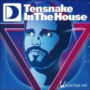 Tensnake - In The House (2010) FLAC