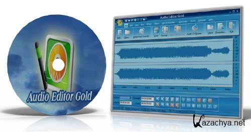 Audio Editor Gold 8.11   