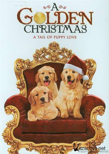   / A Golden Christmas (2009/DVDRip)