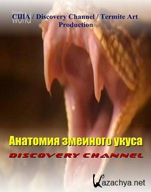 Discovery.    / Anatomy of a Snake Bite ( 2004 )  IPTVRip  
