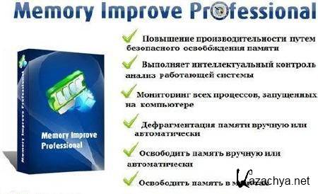 Memory Improve Professional 5.2.2.775 + RUS 