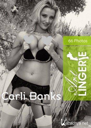 Art Lingere - 2010-12-20 - Carli Banks