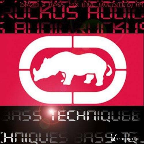 Ruckus Audio - Bass Techniques (2010)
