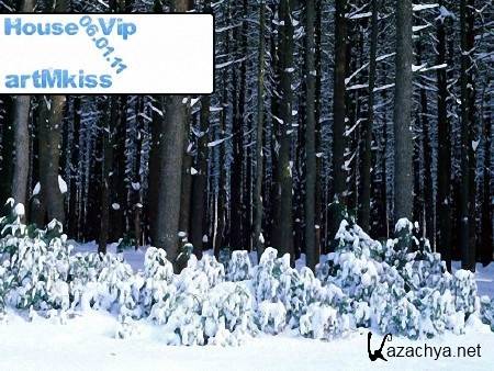 VA-House Vip (06.01.11)