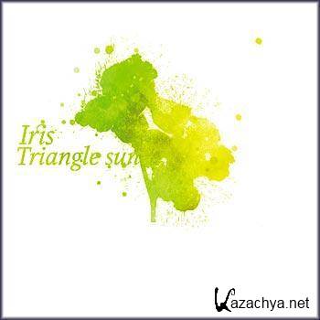 Triangle Sun - Iris (2010)FLAC