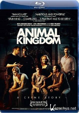  / Animal Kingdom (2010/HDRip)