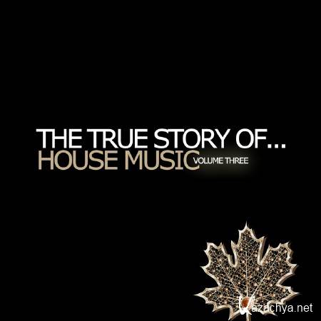 VA - The True Story Of House Music Vol 3 (2011)
