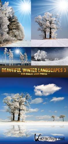 Stock Photo - Beautiful Winter Landscapes-3