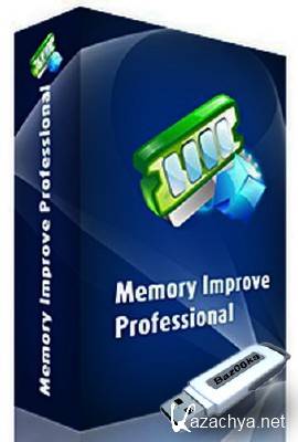 Memory Improve Professional 5.2.2.781 Portable