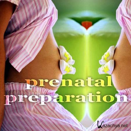 VA - Prenatal Preparation (Creative Progressive House Music) (2011)