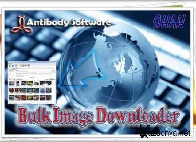 Bulk Image Downloader v 4.9.0.1 ML/Rus Portable