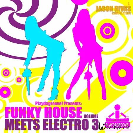 VA - Funky House Meets Electro: Volume 3 (2011)