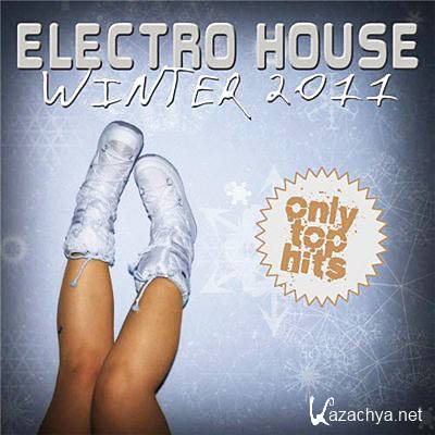  Electro House Winter (2011)