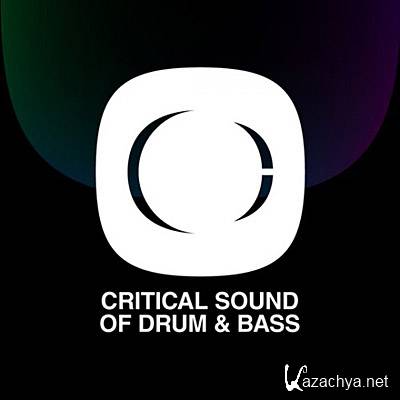 Critical Sound of Drum & Bass (2011) 