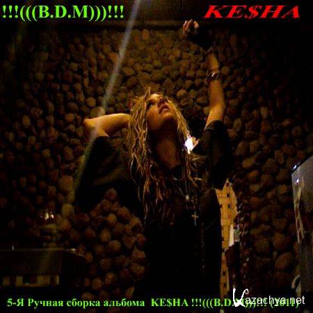 5-     KE$HA !!!(((B.D.M)))!!! (2011)