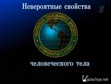 ������������. ����������� �������� ������������� ����  (2006) TVRip  