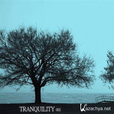Various Artists - Tranquility 002 (2011).MP3