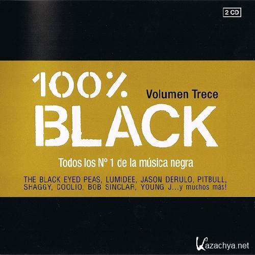 VA - 100% Black Volumen 13 (2011)