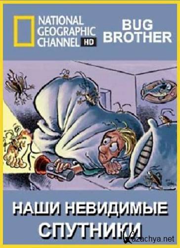    / Bug Brother (2007/HDTVRip)