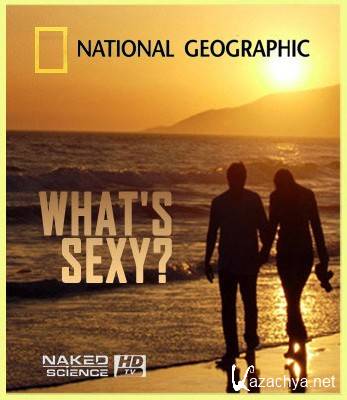 National Geographic: С точки зрения науки: Что такое сексуальность?