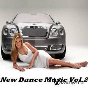 VA-New Dance Music Vol.2 (2011/ MP3) 