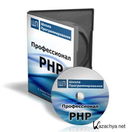  PHP (2010/CamRip)