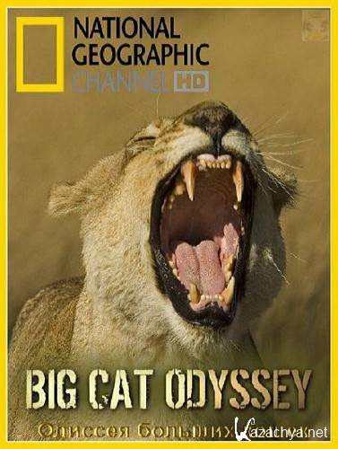    / Big Cat Odyssey (2010/HDTVRip) 