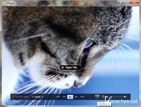 SPlayer 3.6.1755 RuS + Portable