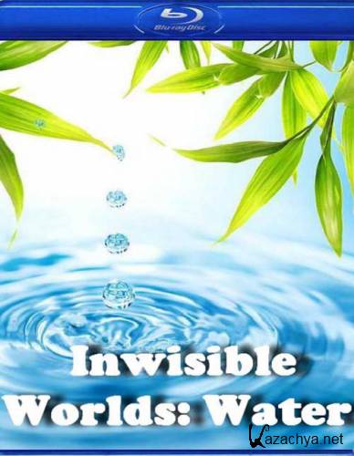    / Inwisible Worlds Water (2010) HDTVRip 720p
