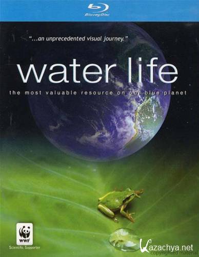   Water Life (2007) BDRip 720p