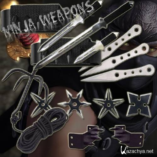   / Ninja weapons (2010) DVDRip