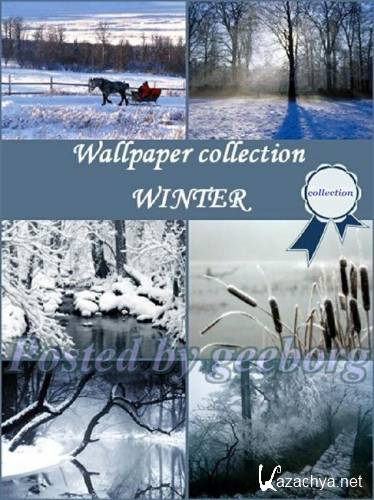   8 / Winter Wallpapers (2010) JPEG