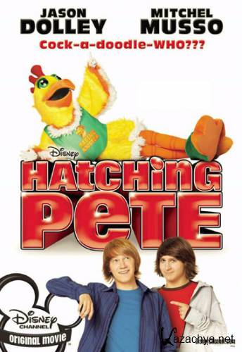    / Hatching Pte (DVDRi/2009/744 Mb)