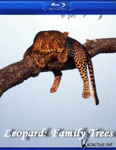     / Leopard Family Trees (2003) HD 1080i