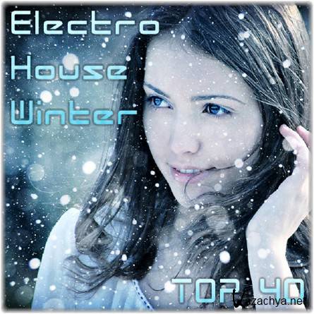 Electro House Winter - TOP 40 (2011)