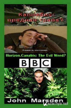 :  ? / :  ? / Cannabis: The Evil Weed?