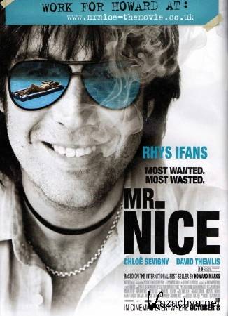 Славный малый / Mr. Nice (2010) HDRip