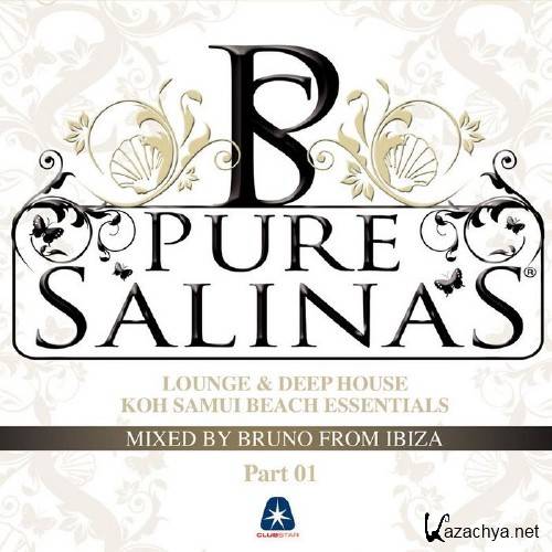 VA - Pure Salinas Vol 2 (2011)