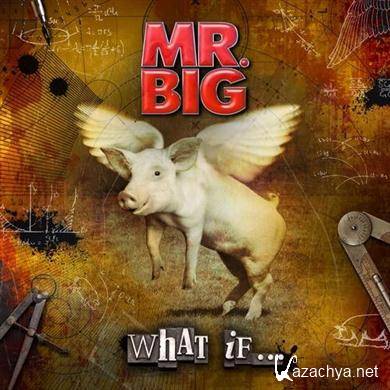 Mr. Big - What If (2011) FLAC