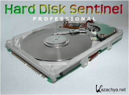 Hard Disk Sentinel Professional 3.40 (Multilingual)