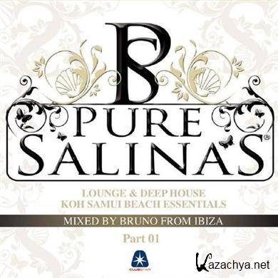 Pure Salinas Vol 2 (2011)