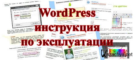 WordPress:    (2010) 