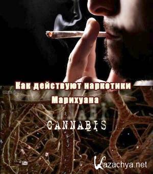   .  / How Drugs Work. Cannabis (2011) TVRip