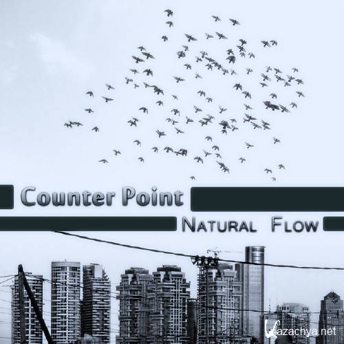 Counter Point - Natural Flow (2011)