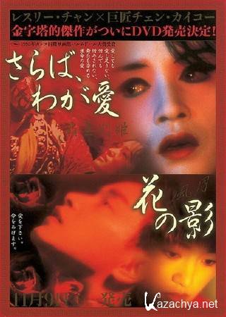 ,   / Ba wang bie ji (1993) DVD5 + DVDRip