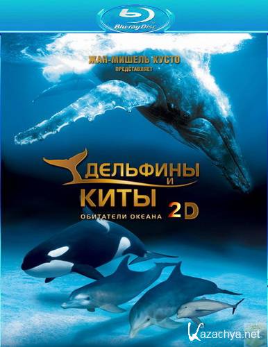    2D / Dolphins and Whales: Tribes of the Ocean 2D (2008) HDRip