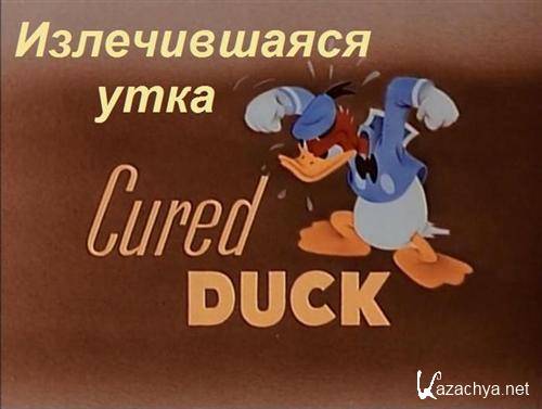   / Cured Duck (1945 / DVDRip)